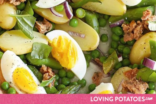 MijnAardappel.nl - Aardappel-tonijnsalade met asperges