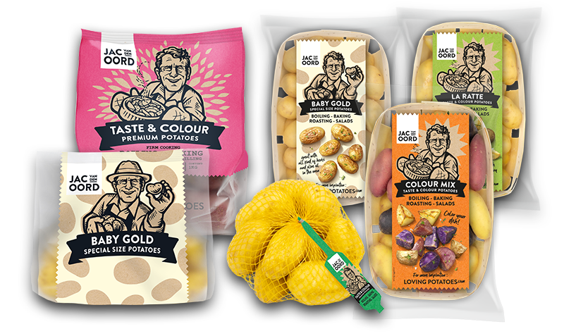 Jac van den Oord – Festkochende Kartoffeln geeignet für Salate Jac van den Oord - Festkochende Kartoffeln geeignet für Salate